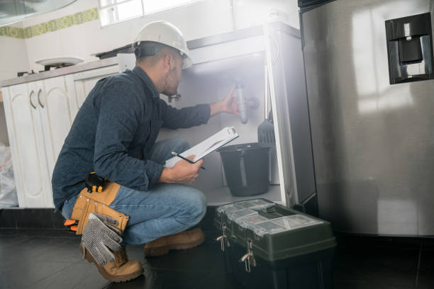 Best Septic Systems  in Walworth, WI