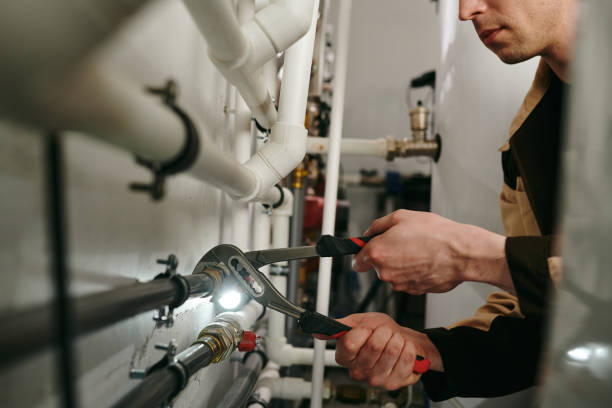Best Clogged Drain Plumber  in Walworth, WI