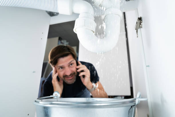 Best Local Plumber Services  in Walworth, WI