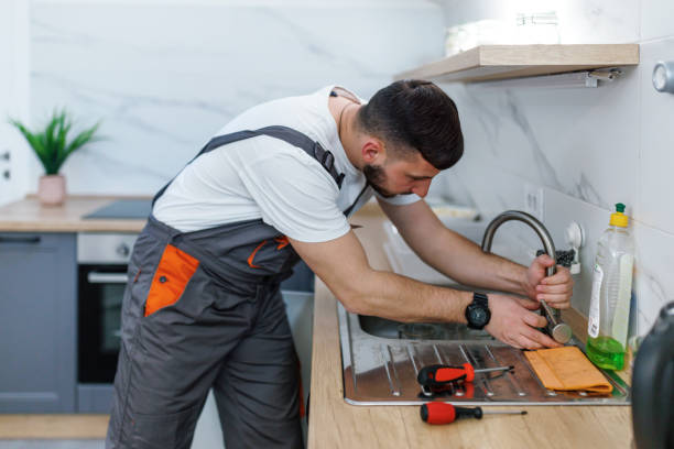 Best Residential Plumbing Services  in Walworth, WI