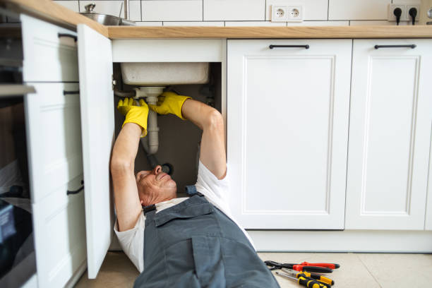 Best Water Softener Installation  in Walworth, WI