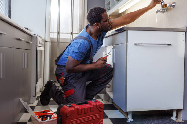 Best Plumbing Services Near Me  in Walworth, WI