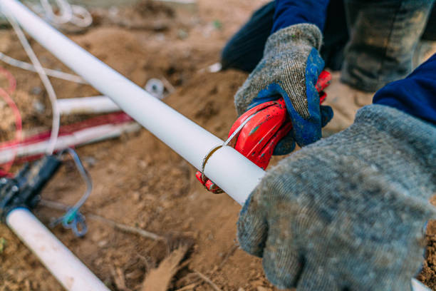 Best Clogged Drain Plumber  in Walworth, WI
