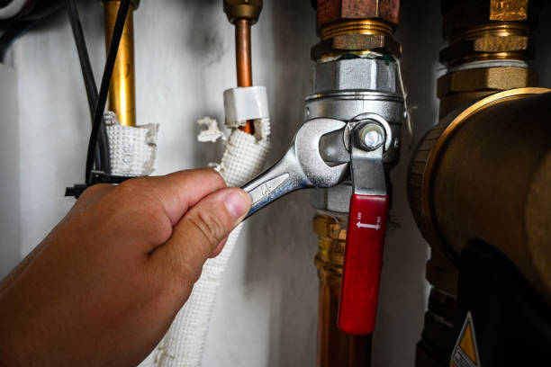Best Water Heater Repair  in Walworth, WI